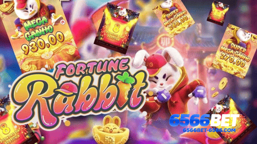 Cashback Program